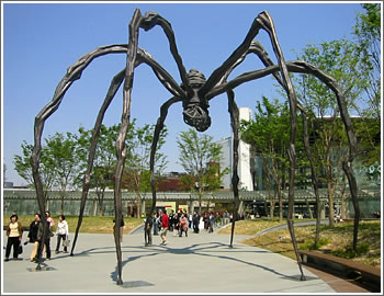 roppongispider.jpg