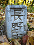 Nagano Marker