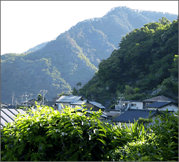 Nagano Green Hills